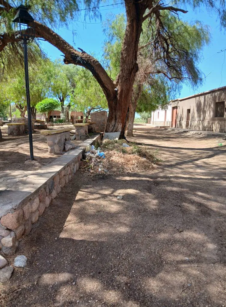 Abandono en El Puesto - 02