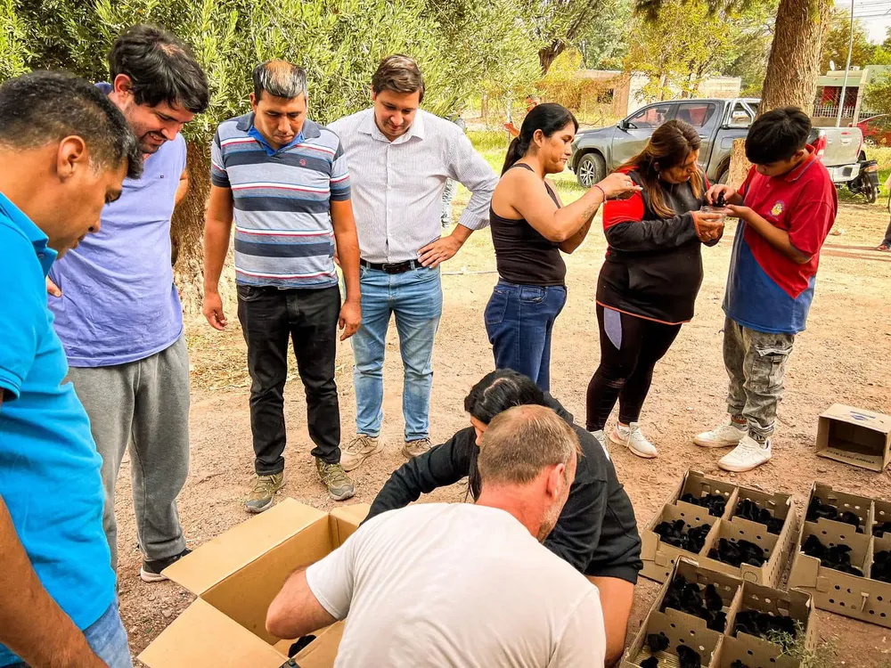 Cadena Avicola en Tinogasta - 03