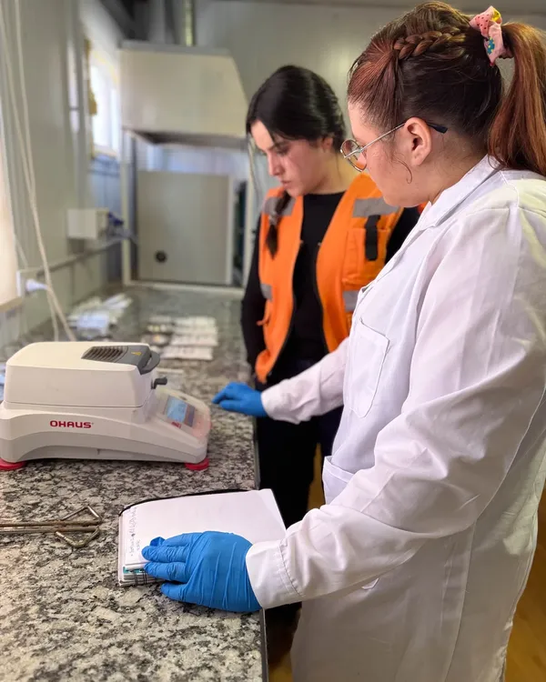 Prácticas Profesionalizantes - 01