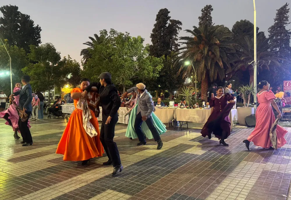 Dia de la Danza Tinogasta - 14