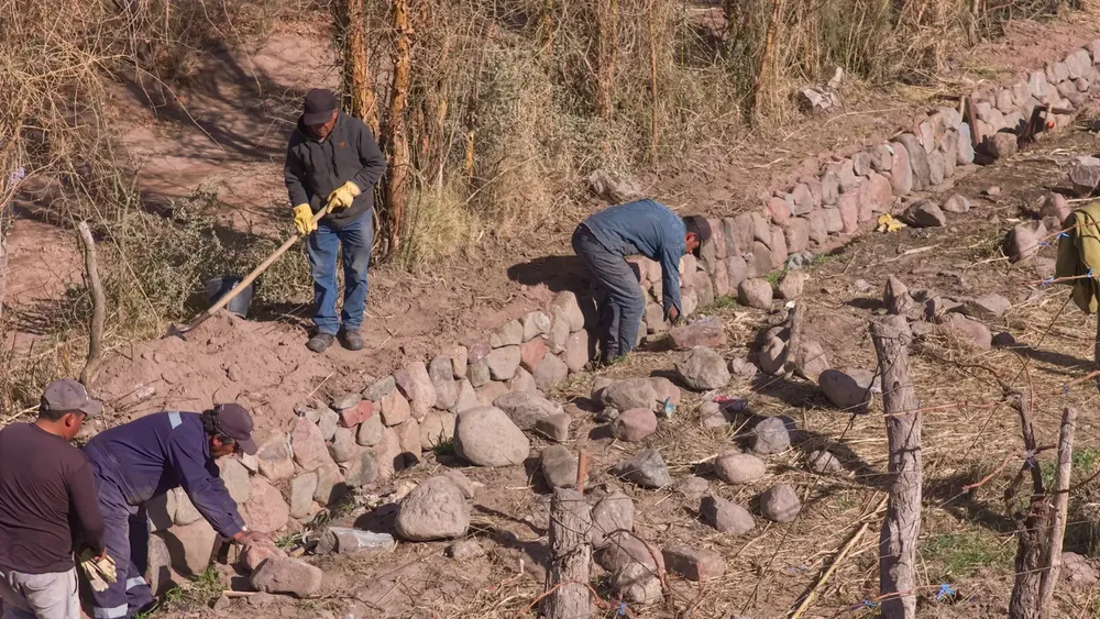 Apoyo a Productores de Saujil - 02