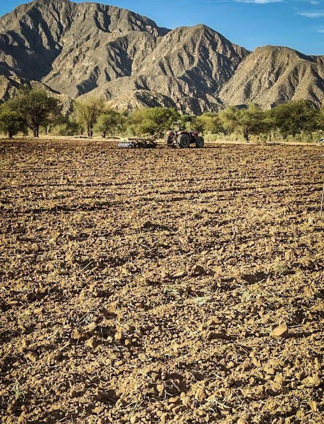 Campaña Siembra de Mostaza - 08