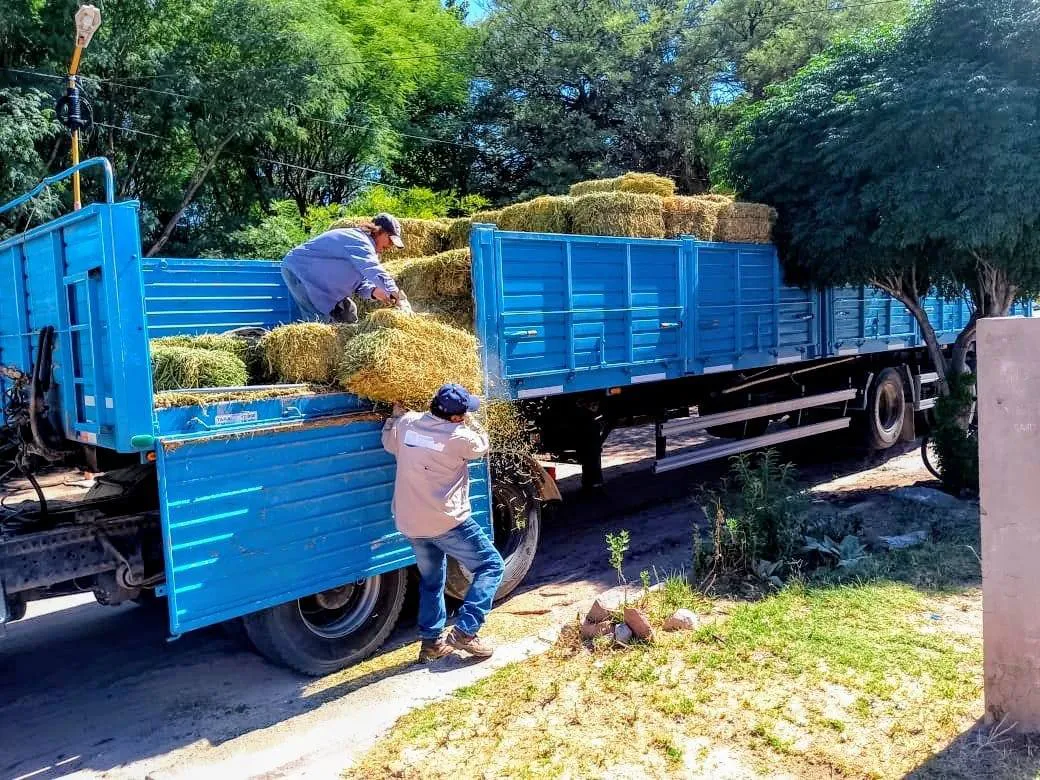 Entrega de Pasto en el norte - 05