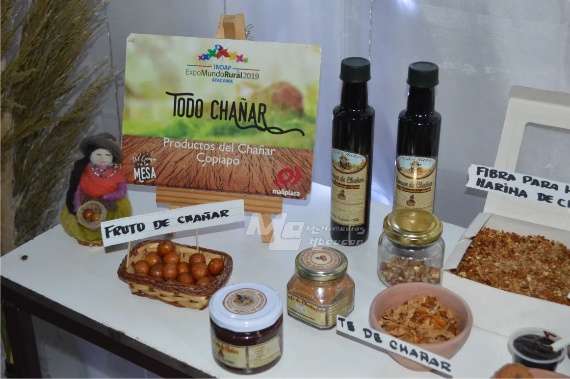 El Chañar puesta en valor - 27