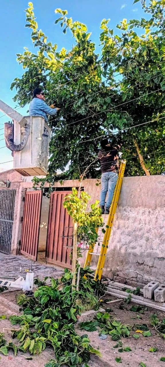 Trabajos despues de la Lluvia - 02