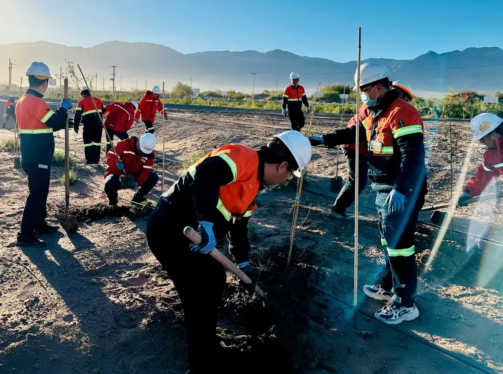 Programa de Forestacion - Zijin Liex - 02