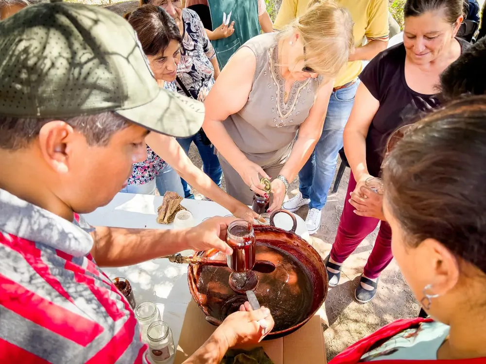 Chañar Tinogata - 11