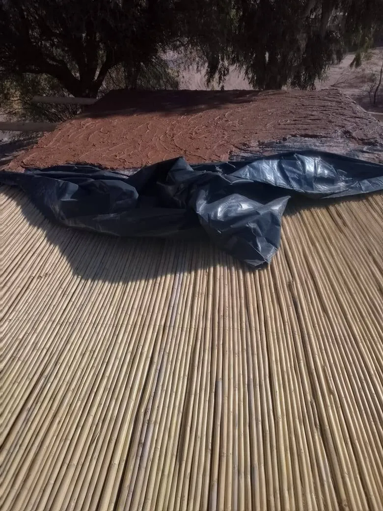 Ayudas domiciliarias - 02