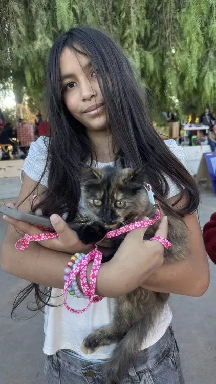 Dia del Animal Tinogasta - 03