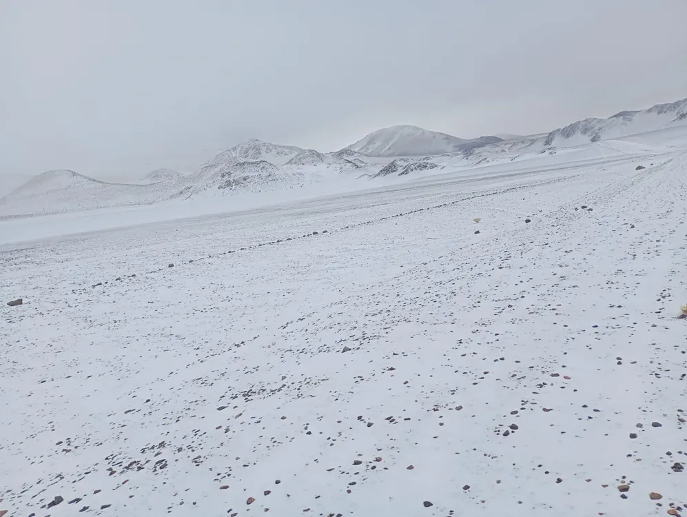 Nevada en la Cordillera - 08