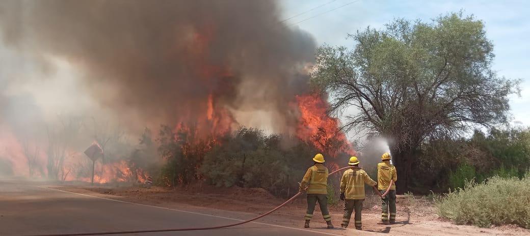 Incendio en Tinogasta - 01