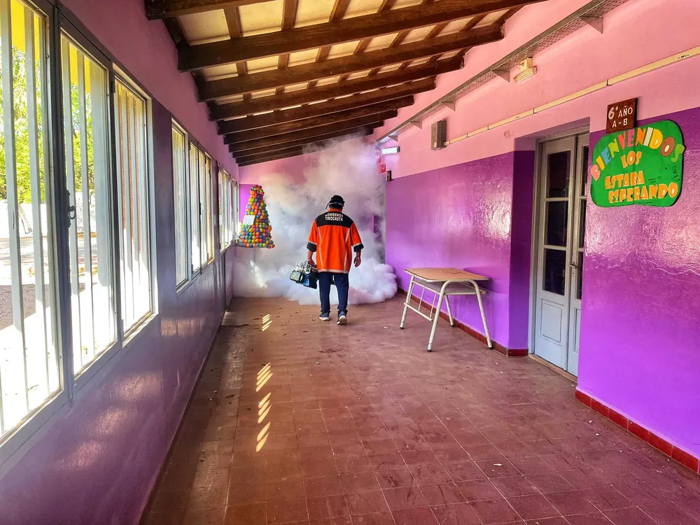 Fumigaciones Tinogasta - 06