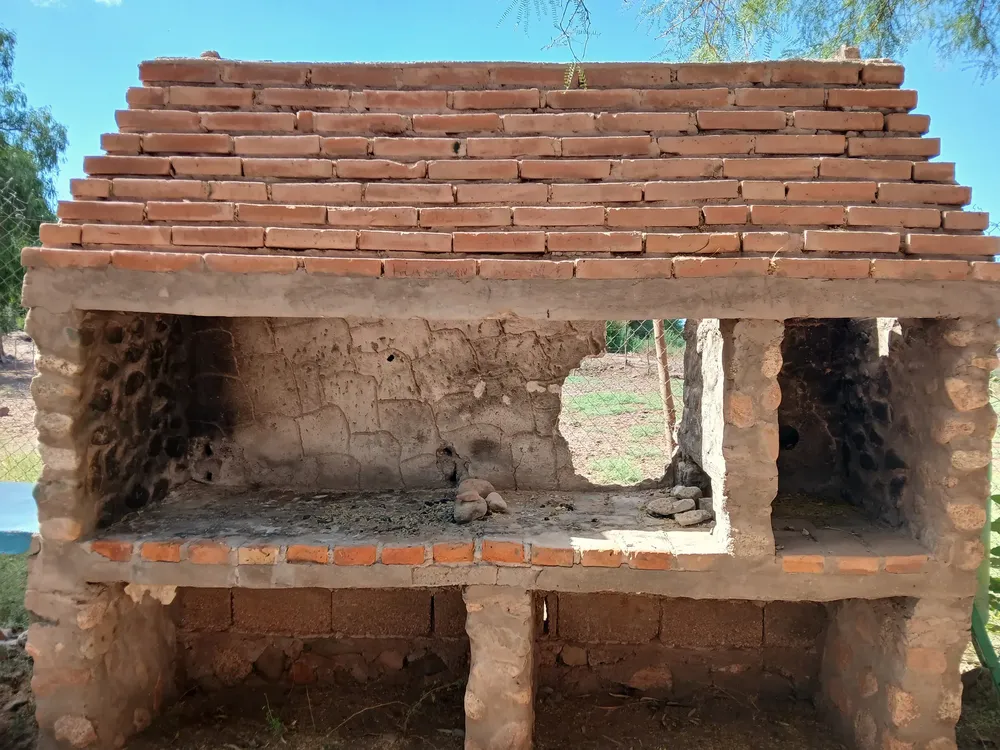 Abandono en El Puesto - 09