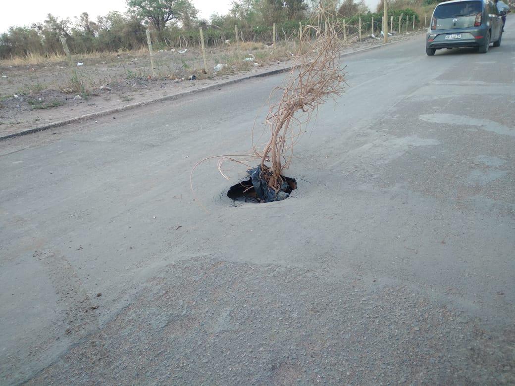 Malas Obas en Fiambala - 05