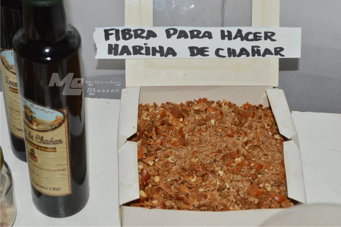 El Chañar puesta en valor - 32