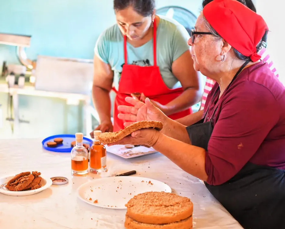 Chañar Tinogata - 15