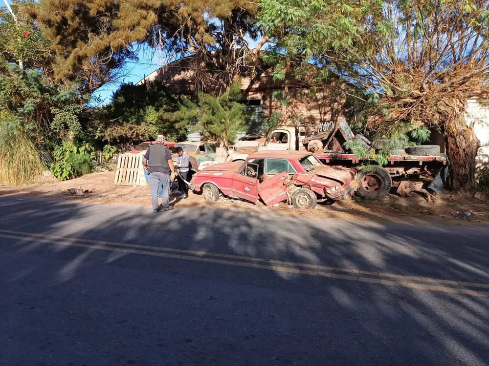 Operativo de Limpieza - 03