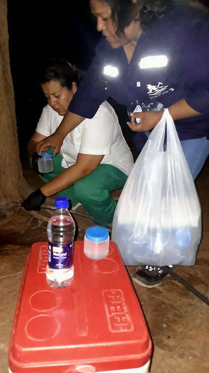 Pruebas de Agua Potable - 01