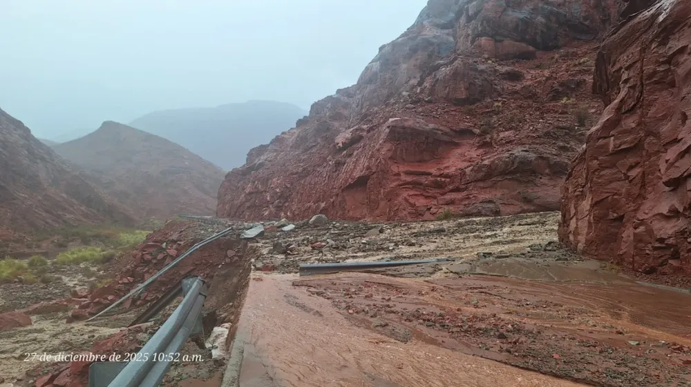 Derrube en Las Angosturas - 01