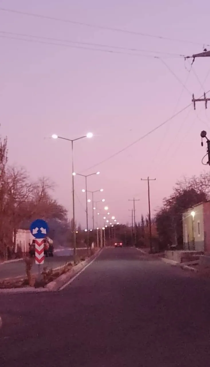 Operativo Recambio De Luminarias Palo Blanco . 01
