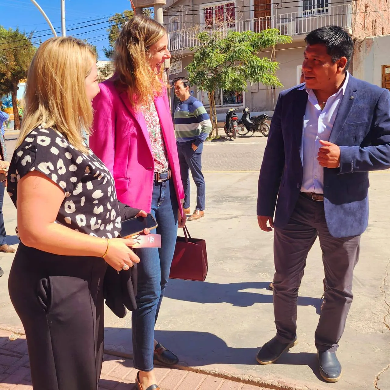 Vista Delegacion Alemana a Fiambala - 03