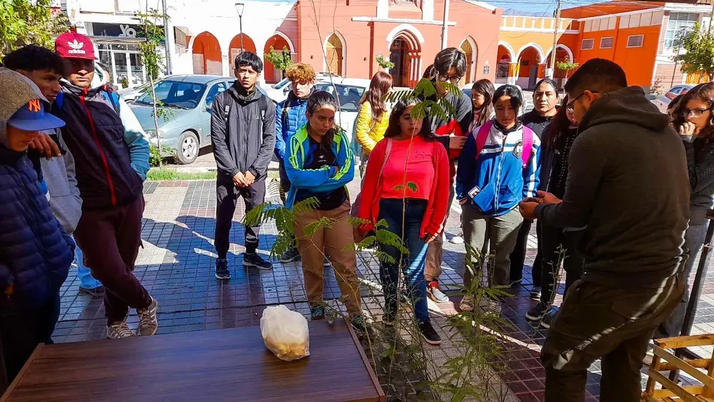 Día Mundial de la Tierra Tinogasta - 10