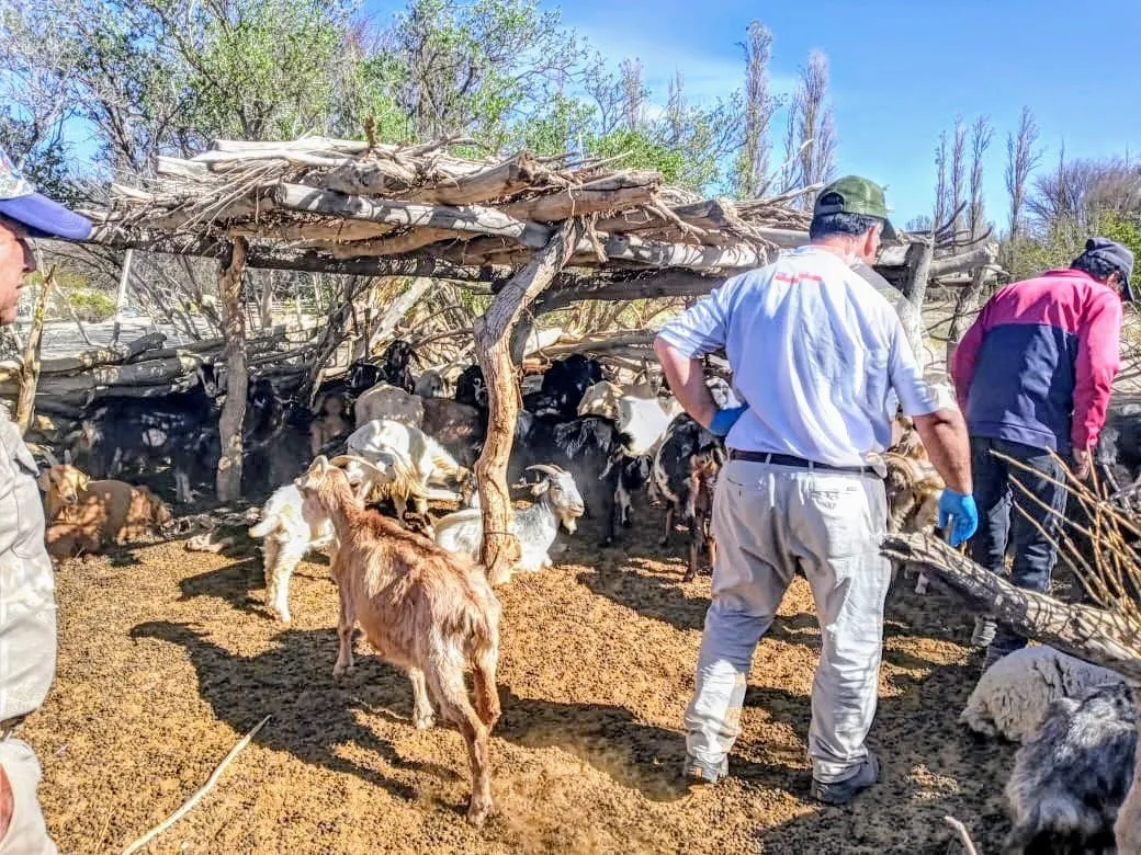 Beneficios para Productores - 02