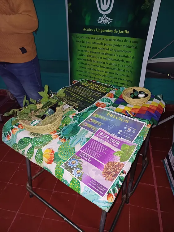 Identidad Visual - 03