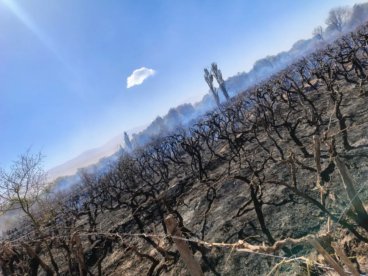 Incendio Barranco - 03