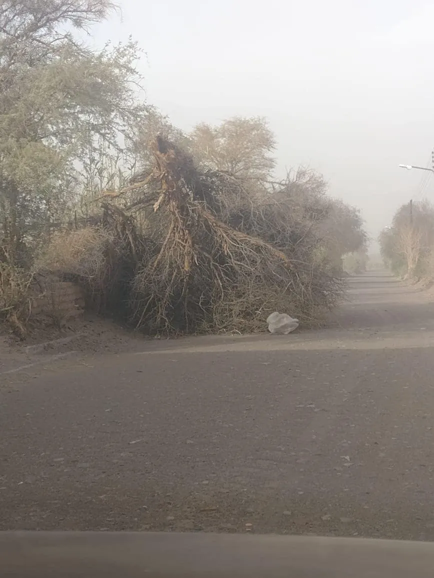 Operativo por el viento en Fiambala - 01