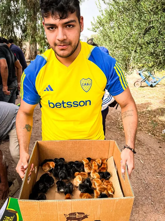 Cadena Avicola en Tinogasta - 06