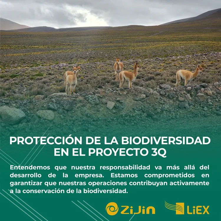 Protección de La Biodiversidad - 01