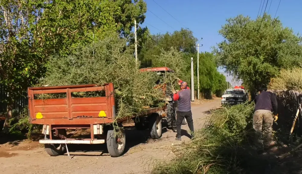 Trabajos de Obras Publicas - 02