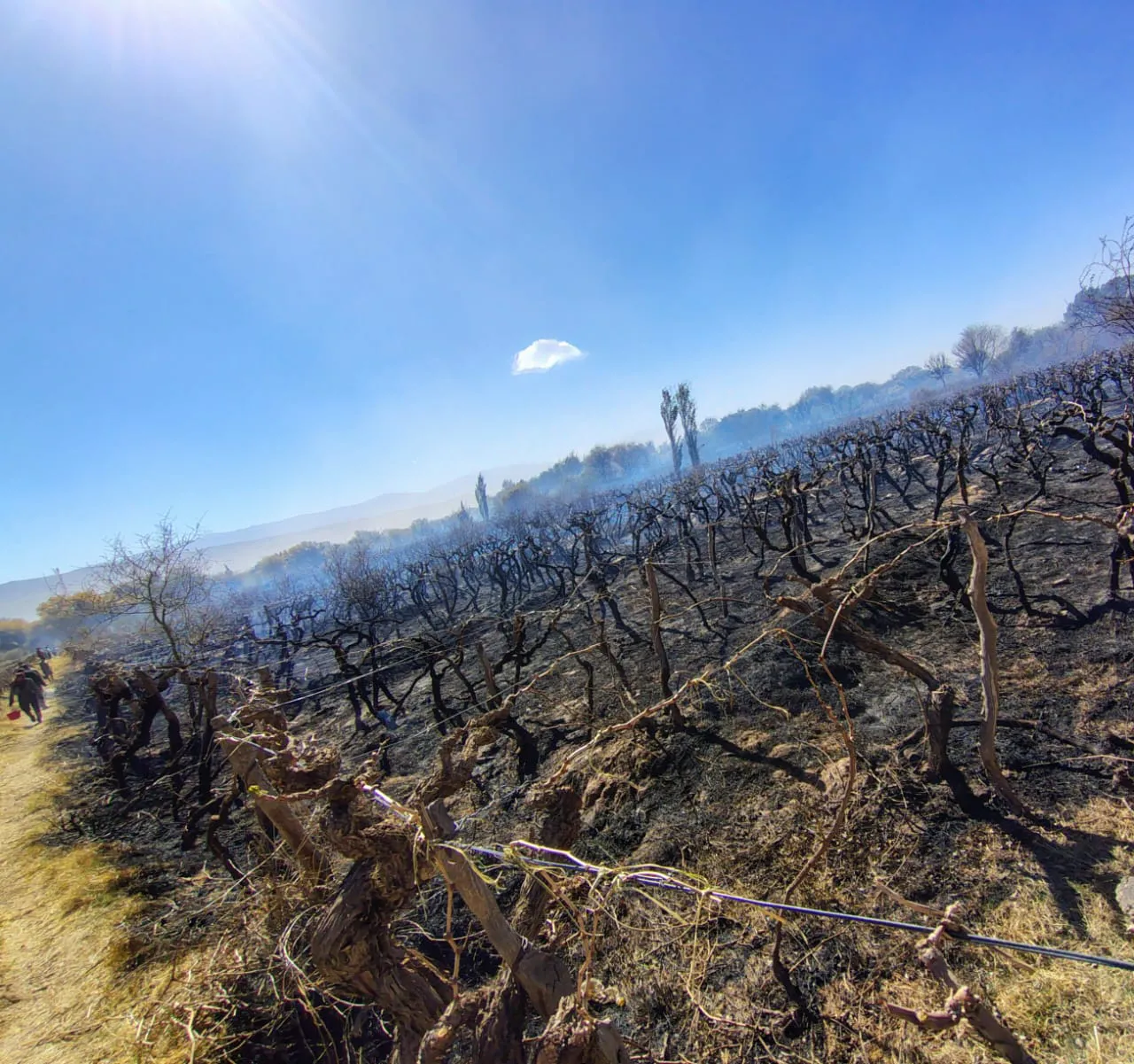 Incendio Barranco - 02