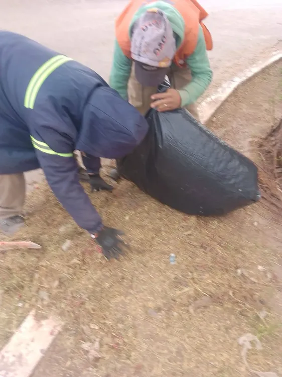 Operativo de Limpieza Barrialitos - 01