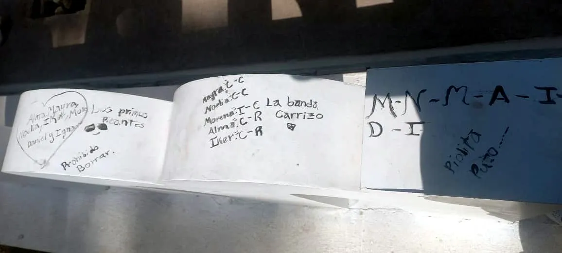 Vandalismo en la Plaza - 02