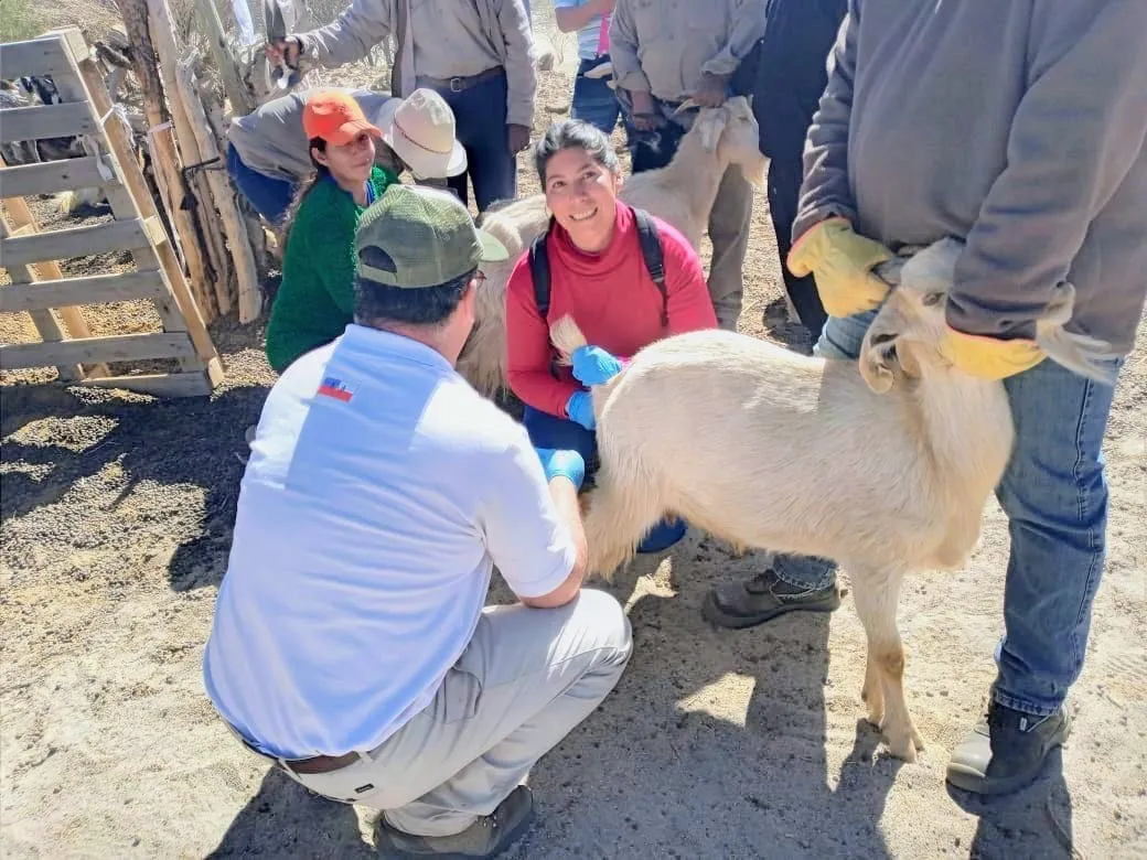 Beneficios para Productores - 03