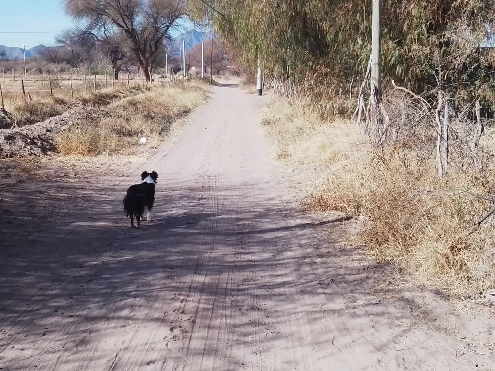 Problemas Barrio Los Guaytimas - 03