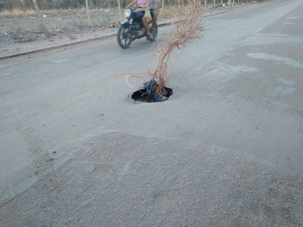 Malas Obas en Fiambala - 04