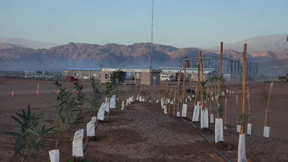 Protección de La Biodiversidad - 03