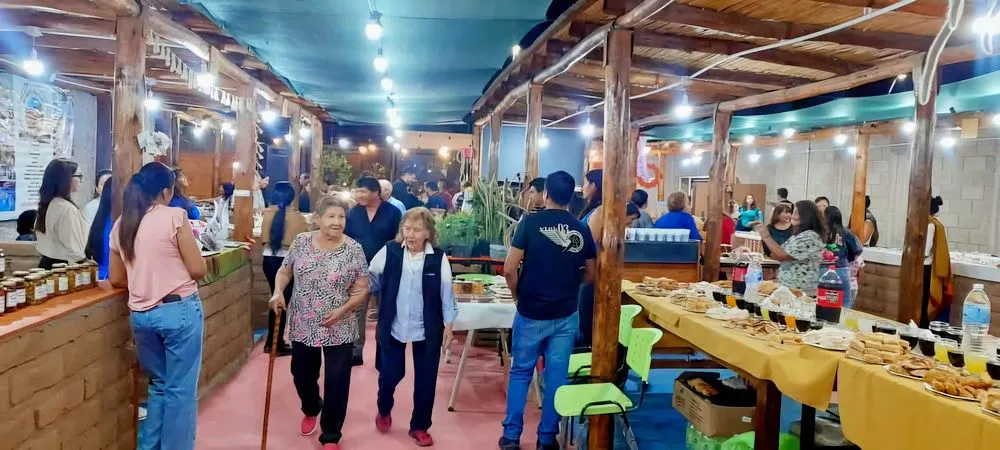 Paseo Publico para Artesanos