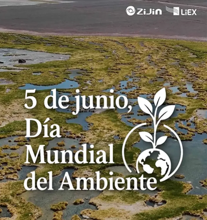Dia del Medioambiente