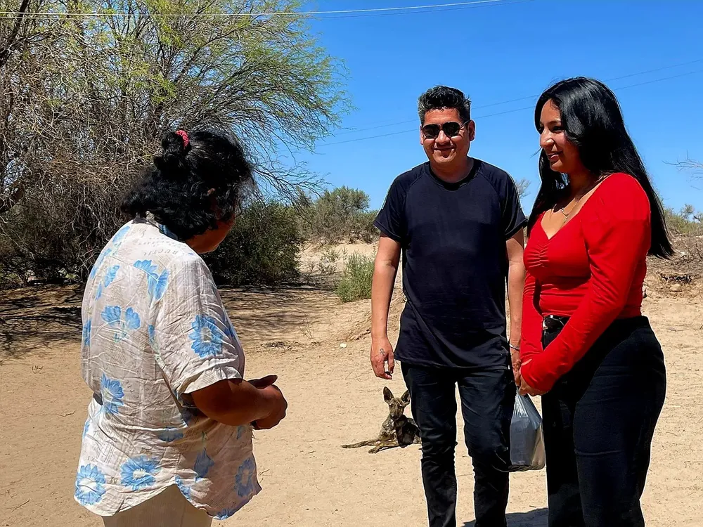 Alimentacion Saludable - 06