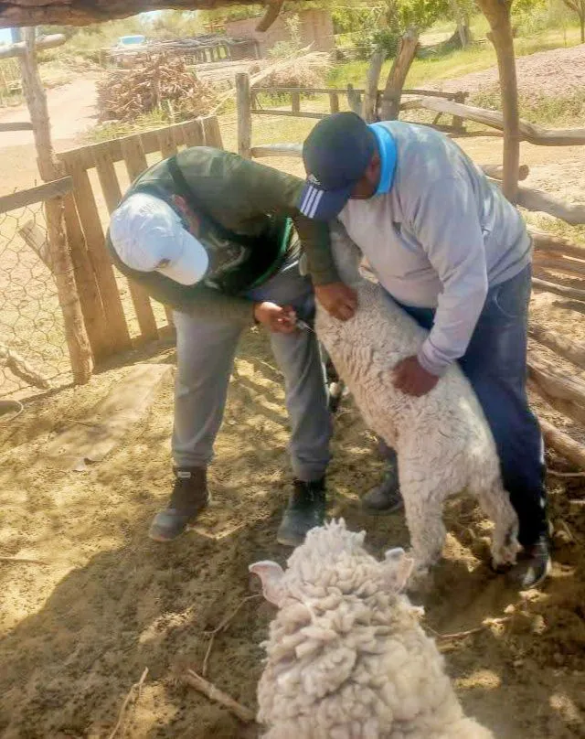 Mejoras en Produccion