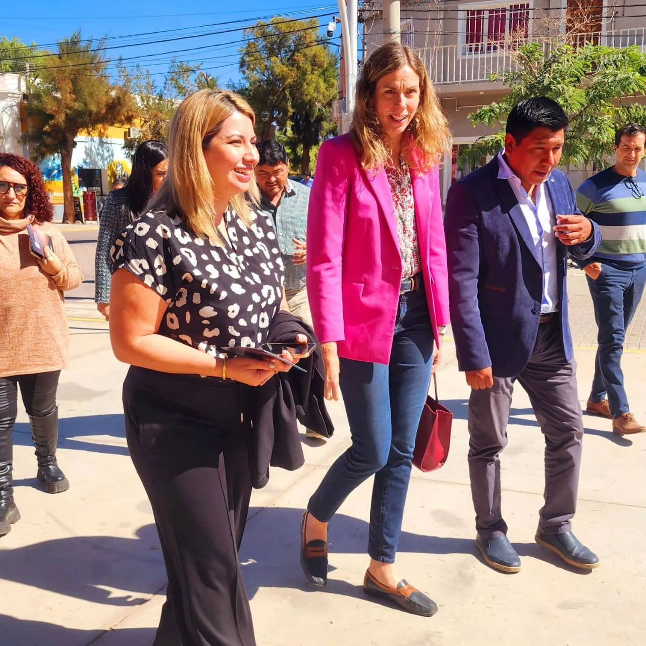 Vista Delegacion Alemana a Fiambala - 06