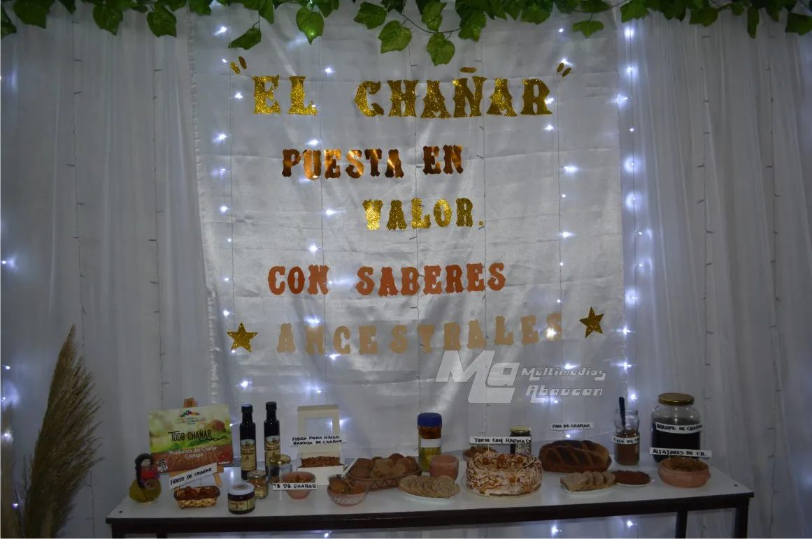 El Chañar puesta en valor - 38