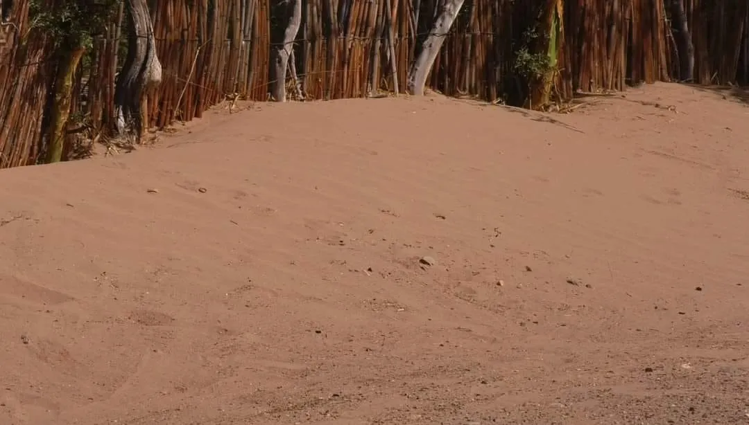 Avance del Medano en barrio Juan M. Salas - 03