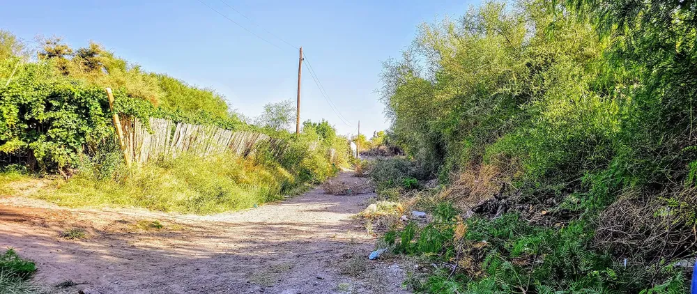 Limpieza Barrio El Libertador - 01