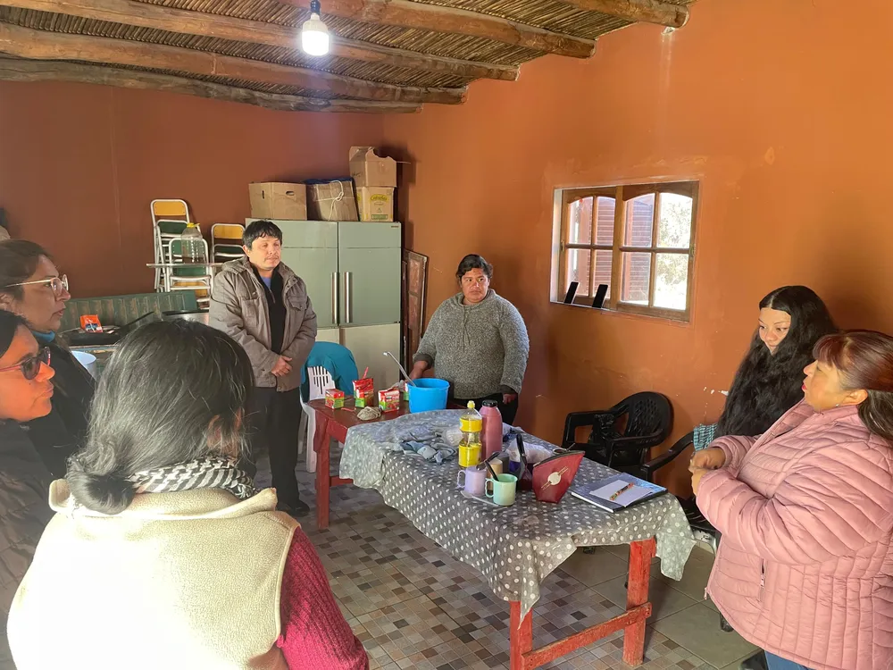 Noblega en el norte de Fiambala - 02