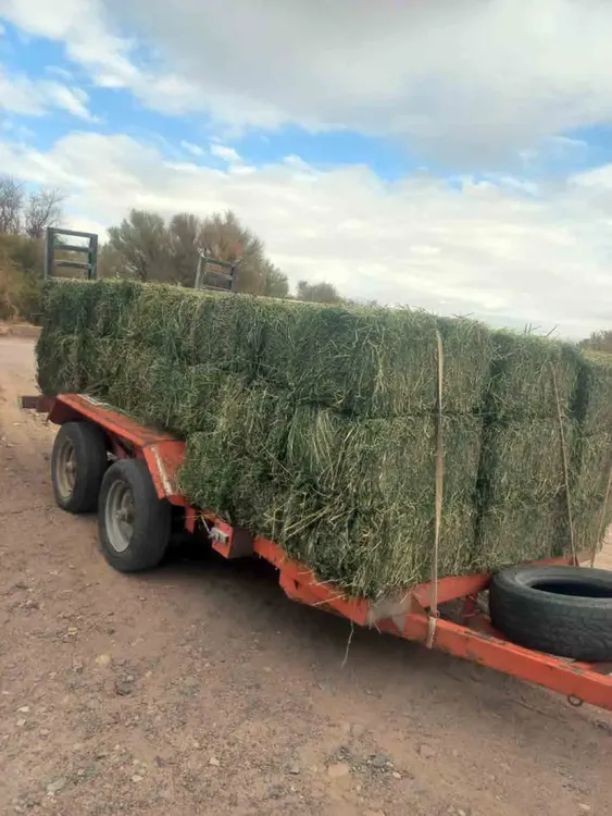 Asistencia a Productores - 05